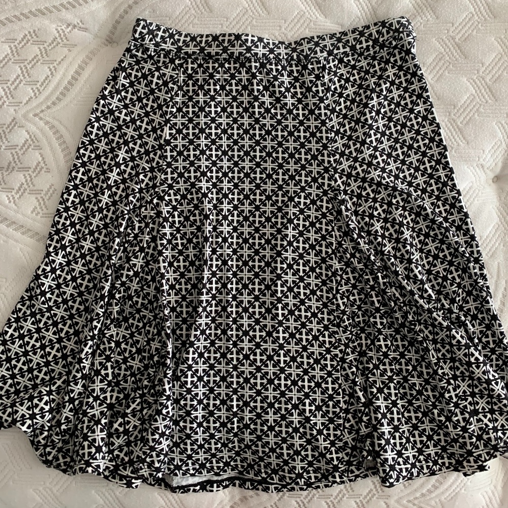 Max Studio Skirt